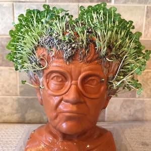 Meet your Posher, Chad